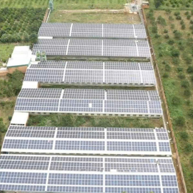Dự án Công ty TNHH Giống gia cầm tại Dăk Lăk