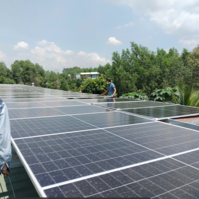 Dự án Công ty Pallet Phong Anh Phát 